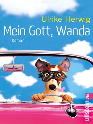 cover image of Mein Gott, Wanda